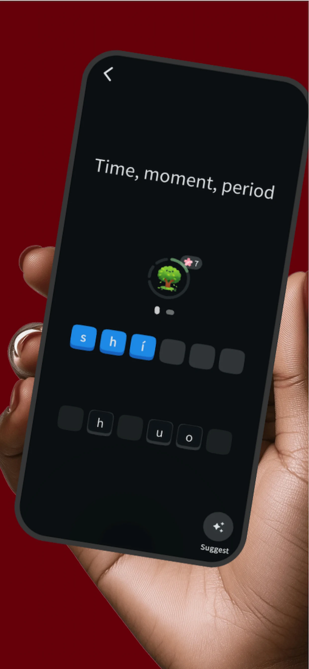 Chinese Vocabulary: HSK 1-9 screenshot