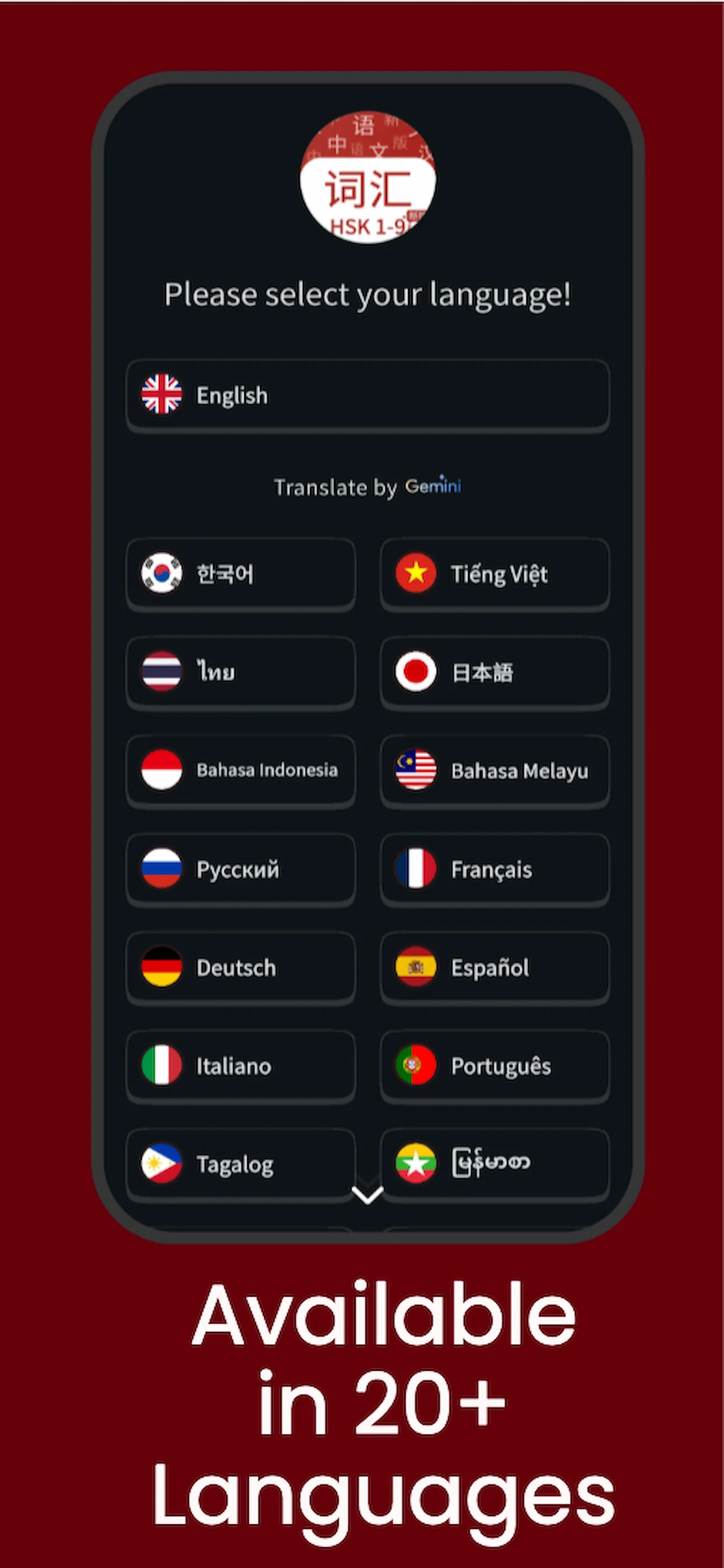 Chinese Vocabulary: HSK 1-9 screenshot